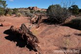 USA - Utah, Canyonlands NP