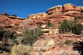 USA - Utah, Canyonlands NP