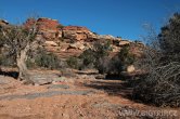 USA - Utah, Canyonlands NP