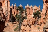 USA - Utah, Bryce Canyon