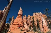 USA - Utah, Bryce Canyon