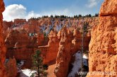 USA - Utah, Bryce Canyon