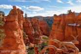 USA - Utah, Bryce Canyon