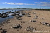 Austrálie - stromatolites